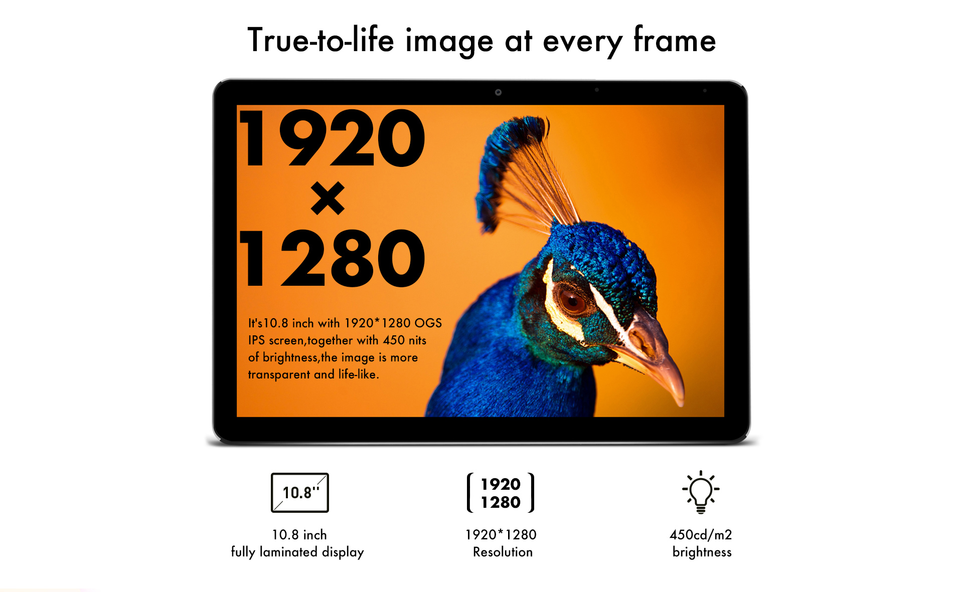 SurBookmini b1 03